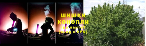 крисы Вяземский