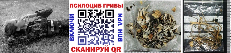 Купить где  Кизел  Галлюциногенные грибы ЛСД 